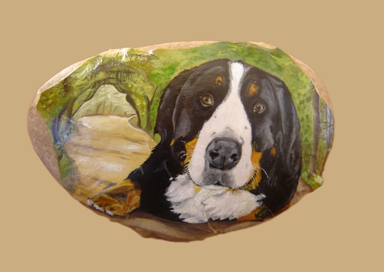 Hond Django