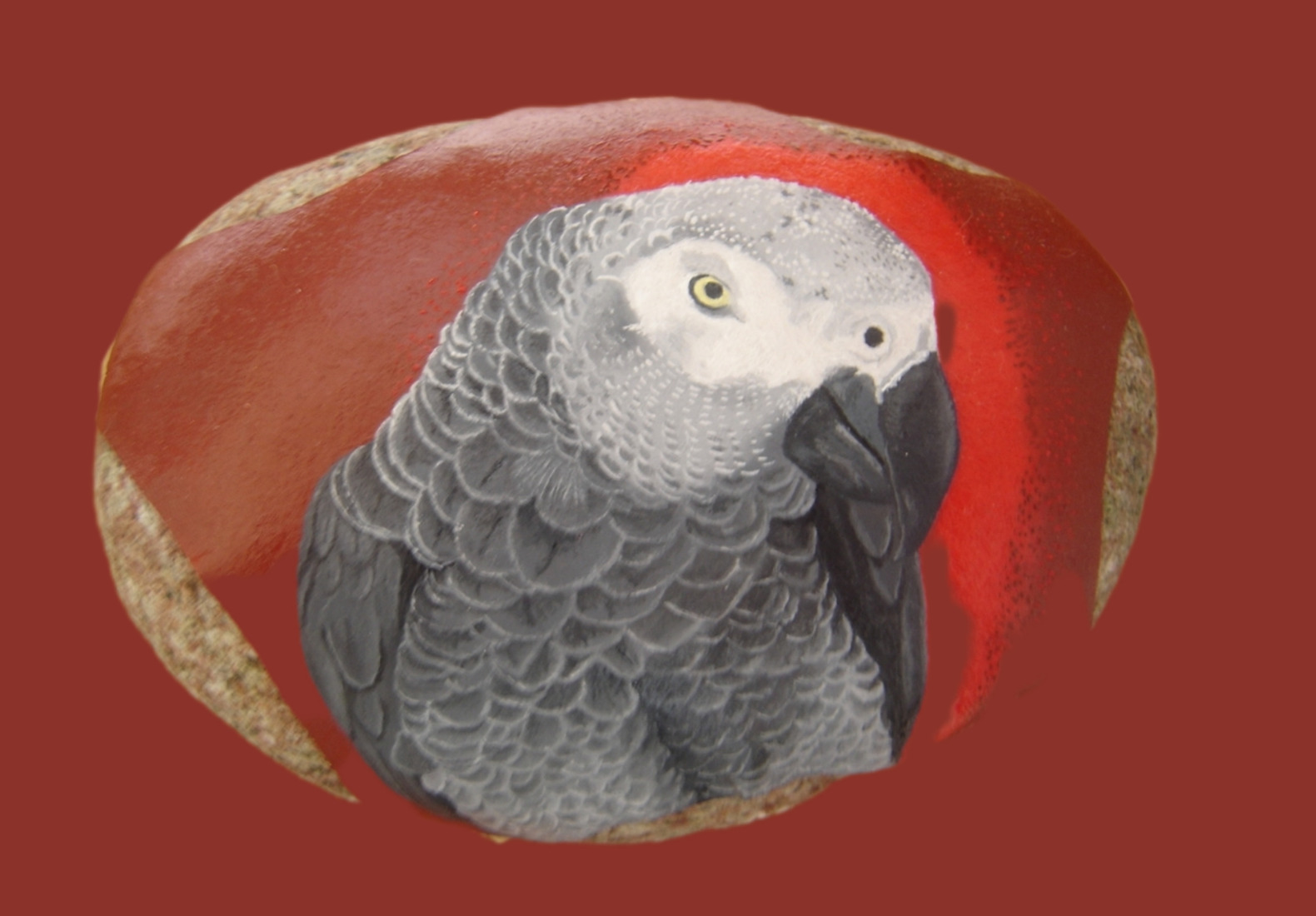 Papegaai Paco