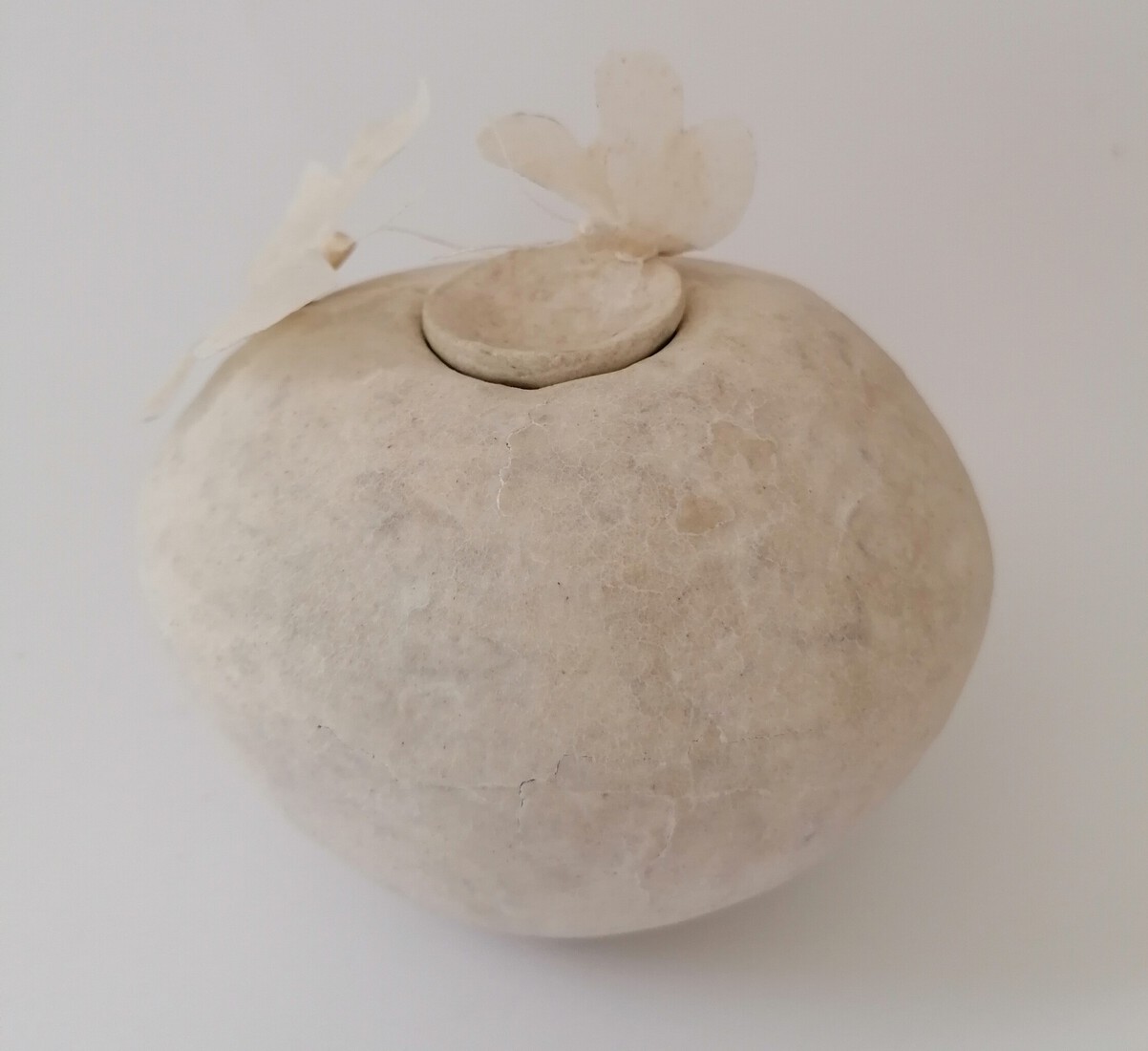 Vlinder urn