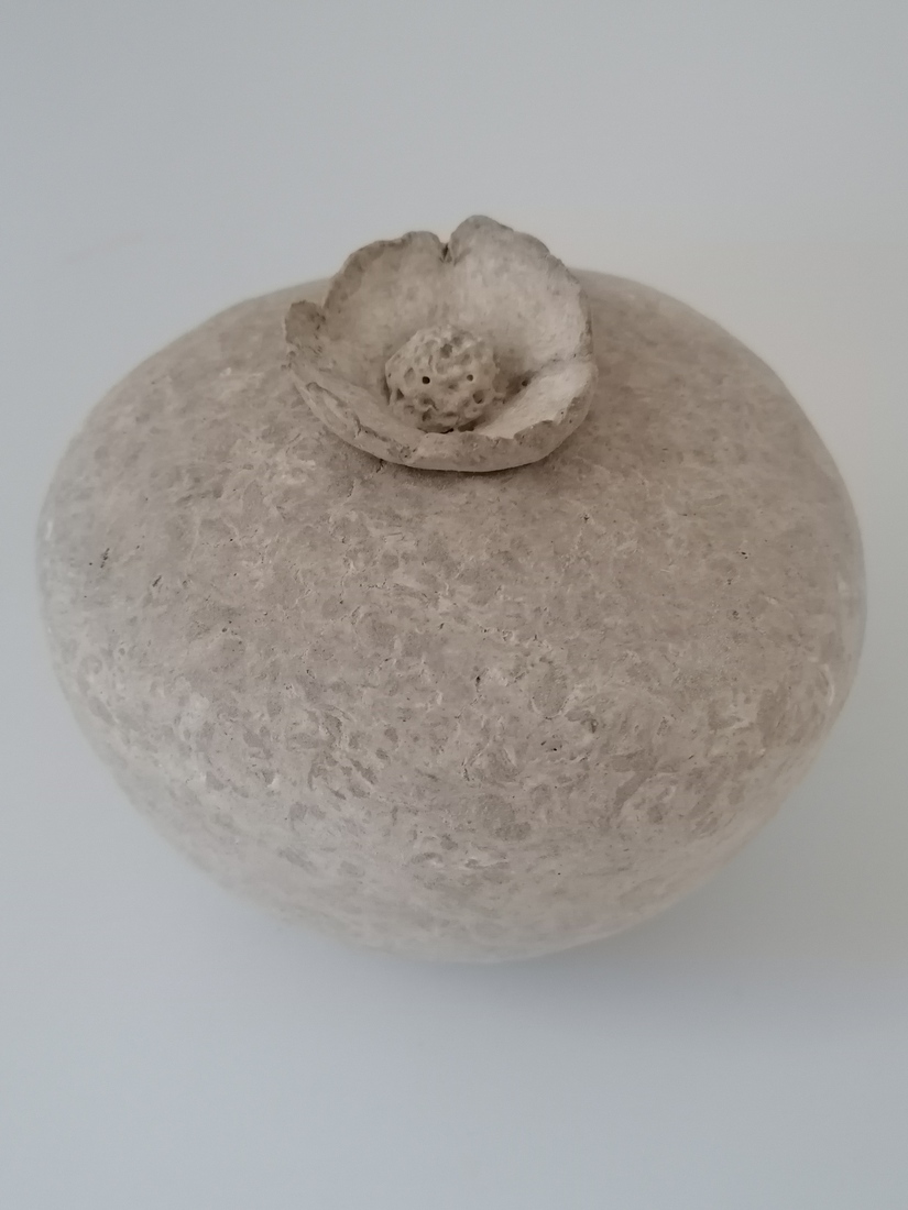 Urn klaproos