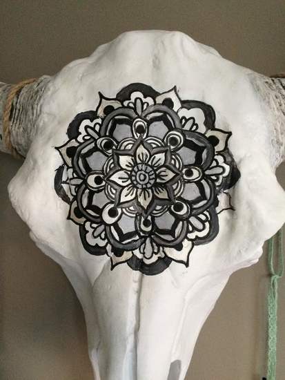 buffalo skull close up