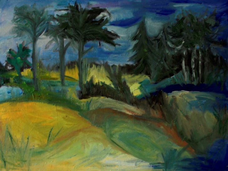 De Loonse en Drunense duinen