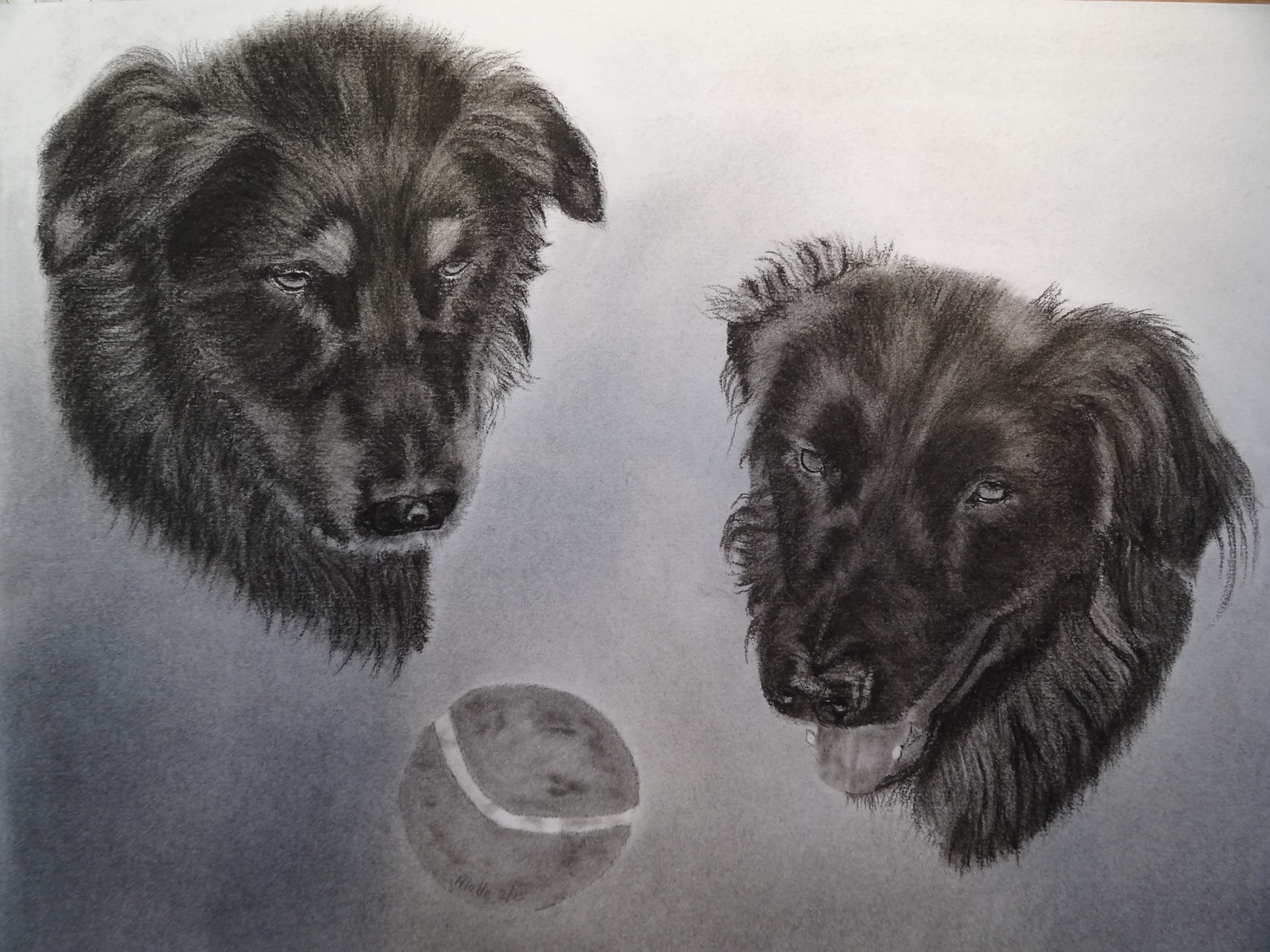 Wie wil er met de bal spelen?