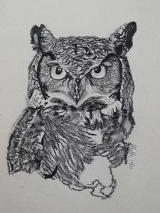 Vogels gemaakt in houtskool en pen