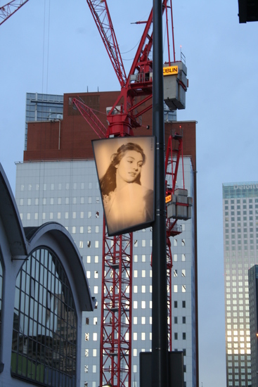 op de Wilhelminapier in Rotterdam