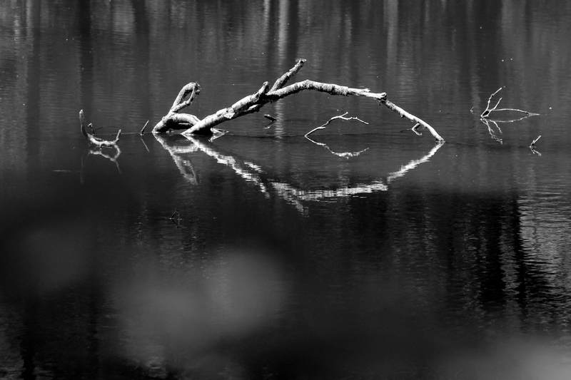 spiegeling in water 1