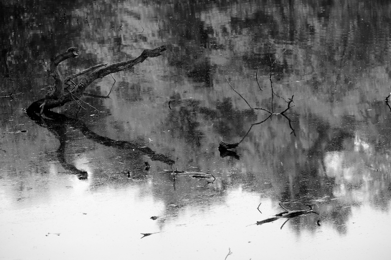 spiegeling in water 2