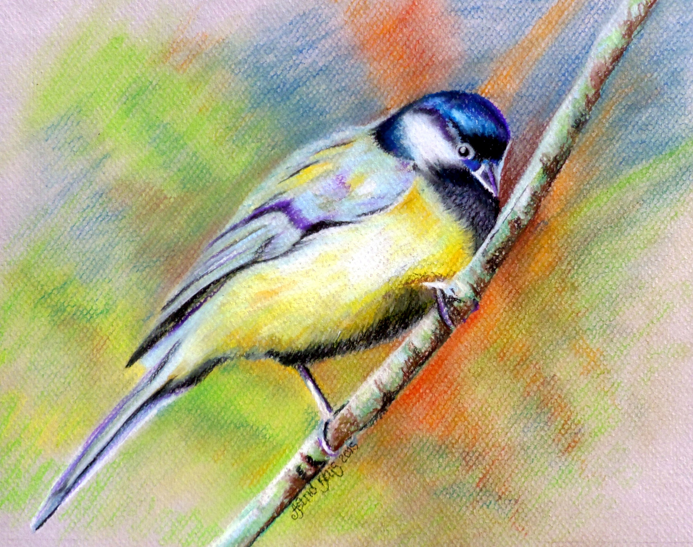 Great tit