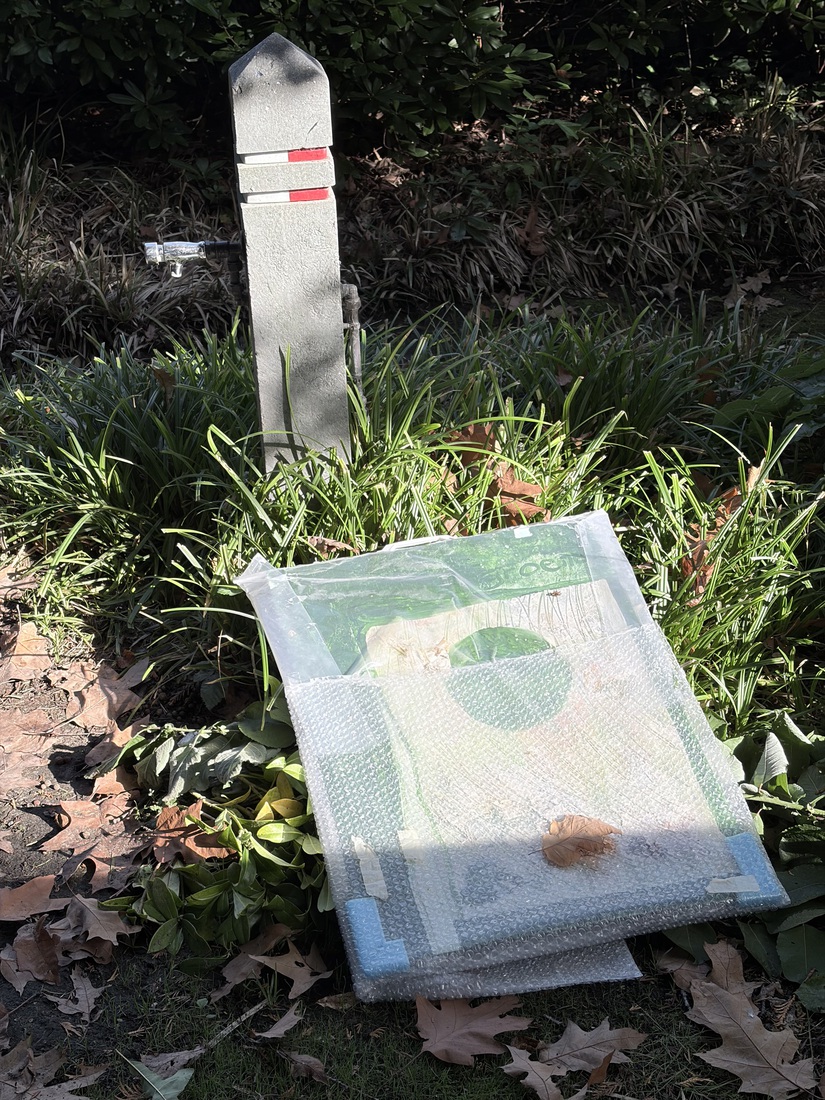 Het gras is groener als je het water geeft