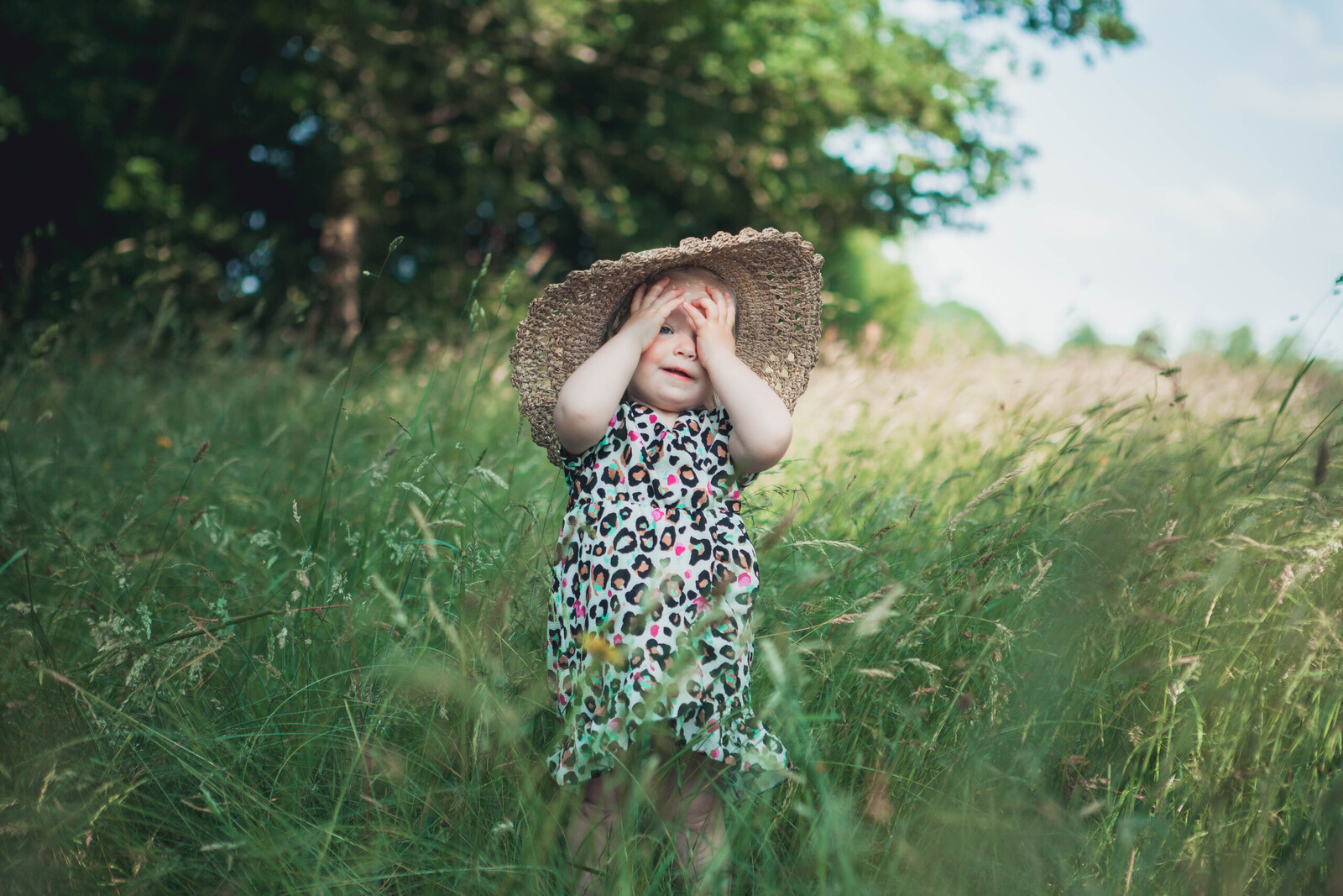 Hoge gras bij de hunebedden
