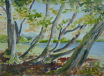 IWM International Watercolour Masters 2026