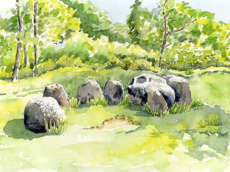 Hunebed nr. D31, Exloo