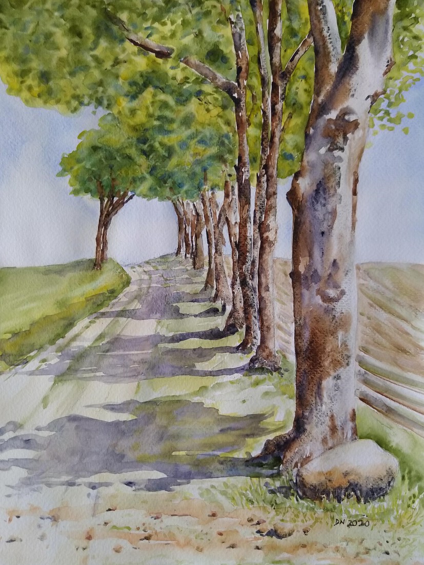 Zand weggetje naar Exloo, Drenthe