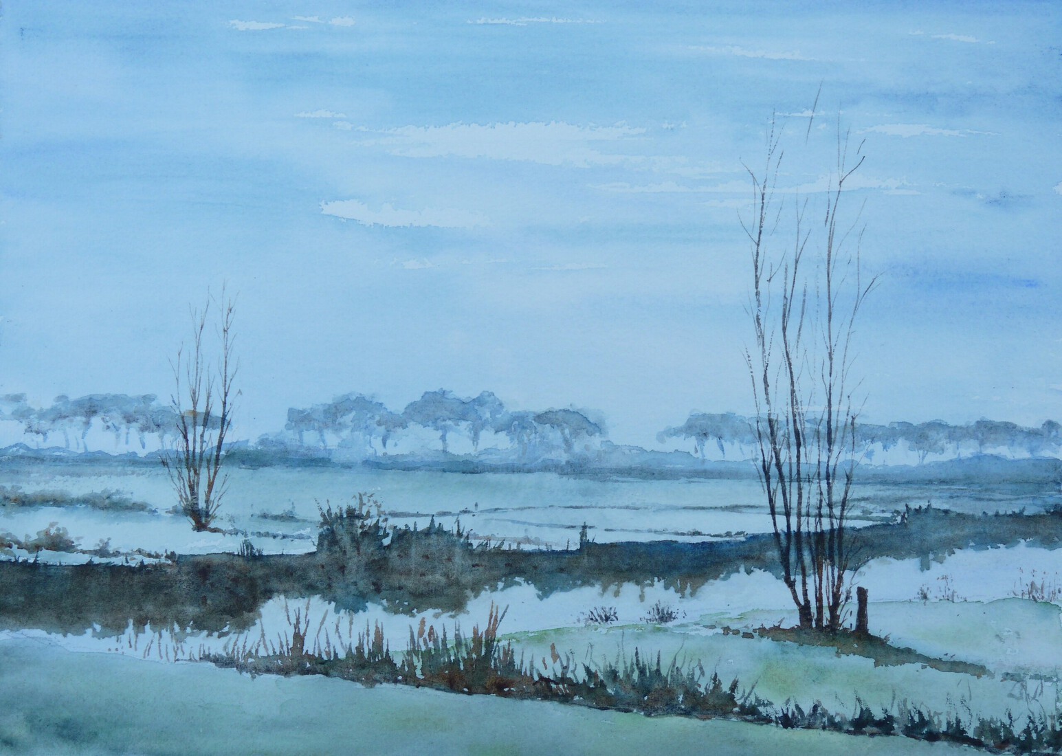 Winter - Park Lingezegen, Arnhem-Zuid