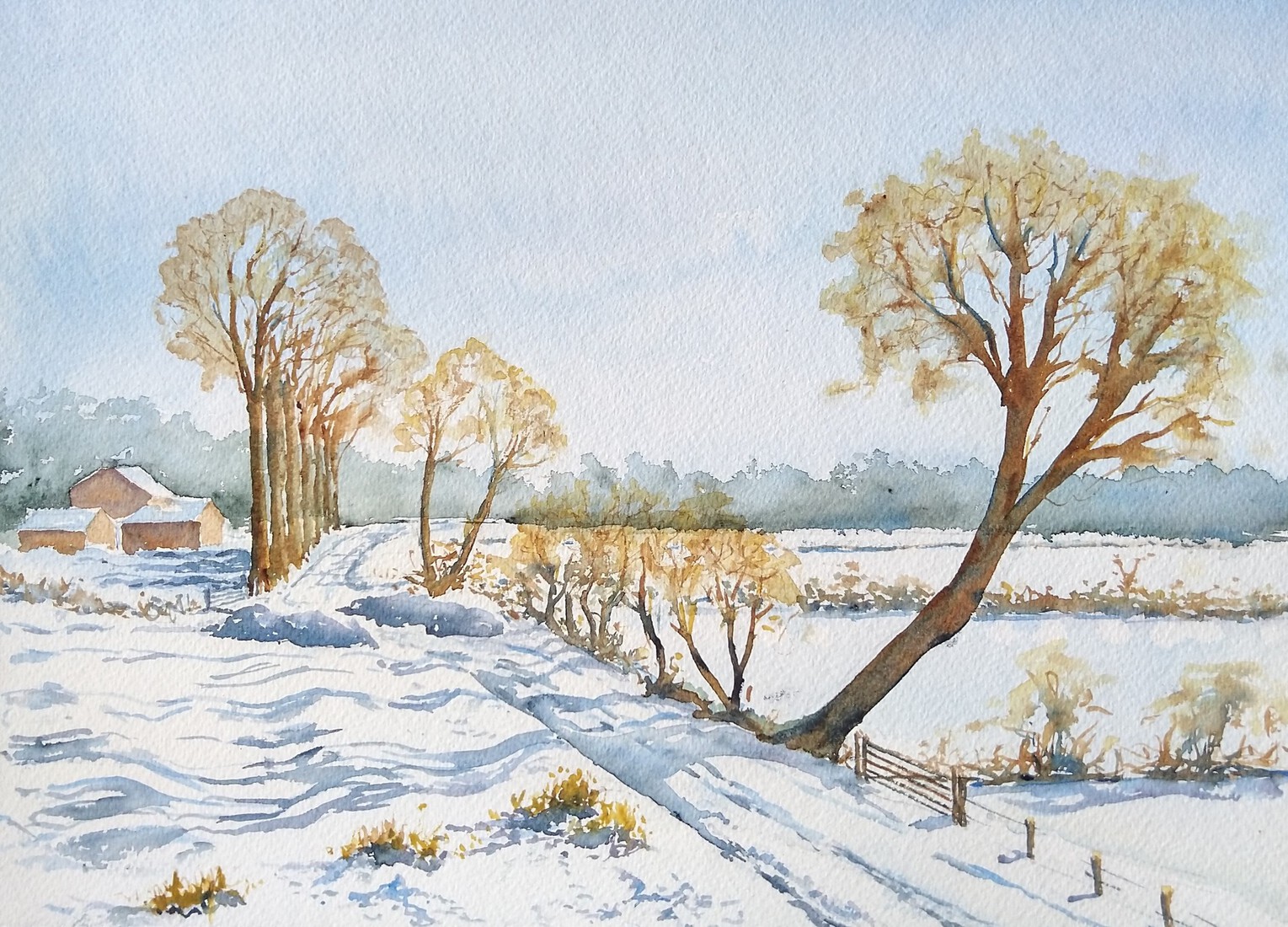 Sneeuw op Parkdreef, Huissen 