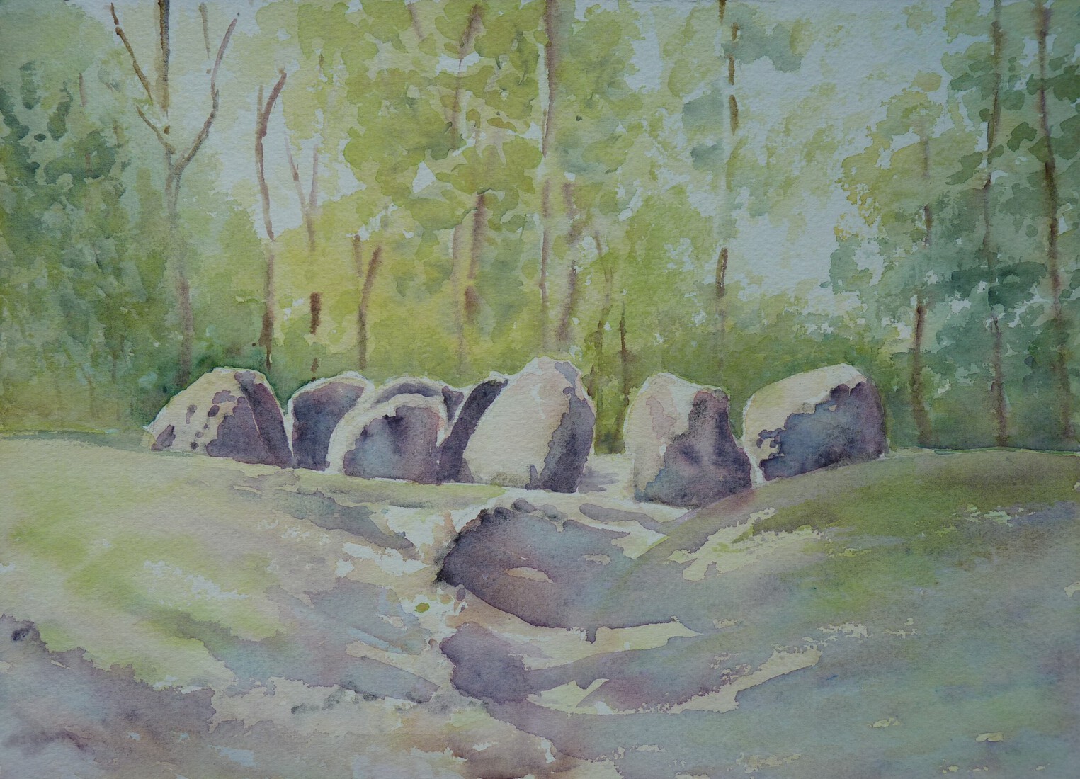 Hunebed, Exloo, no. D31