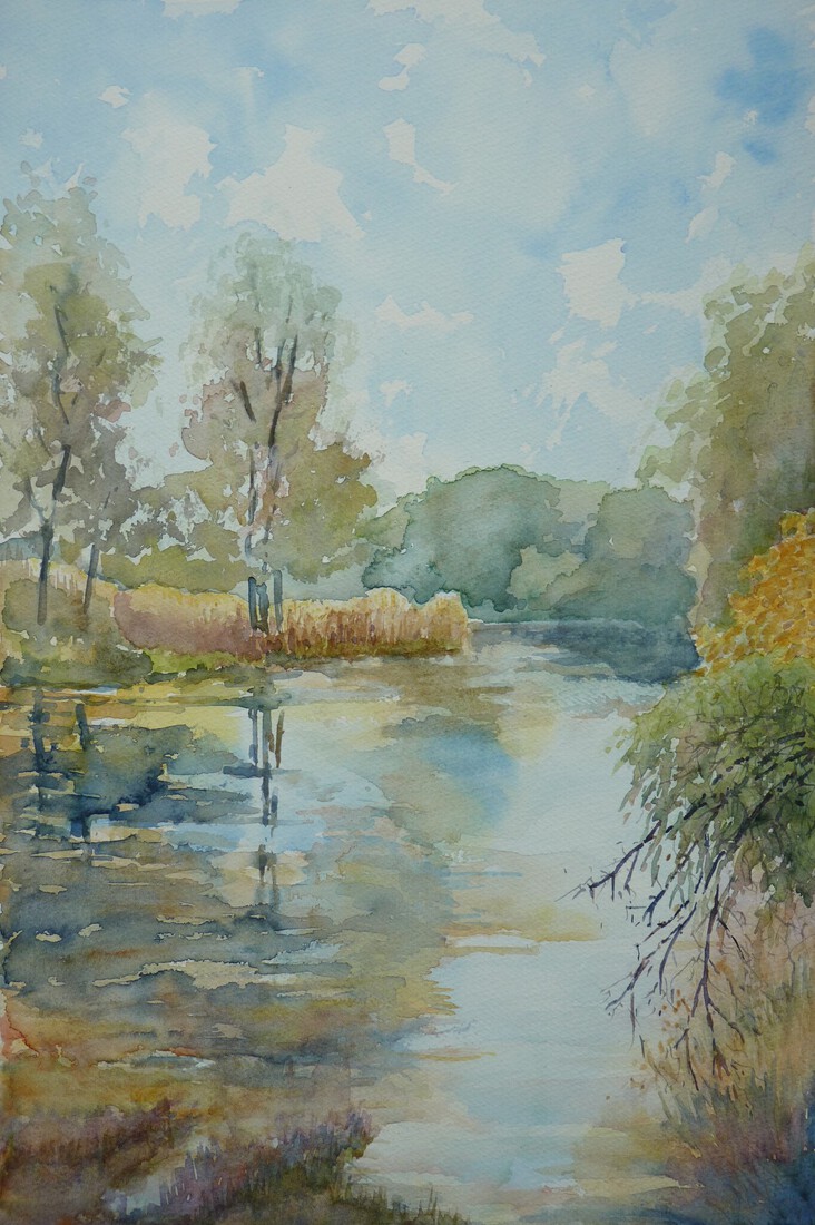 Pond in Holthuizen Park, Huissen