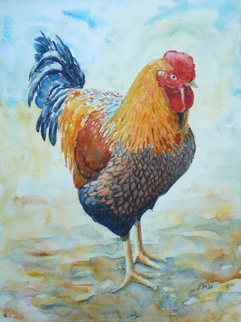 Wyandotte chicken