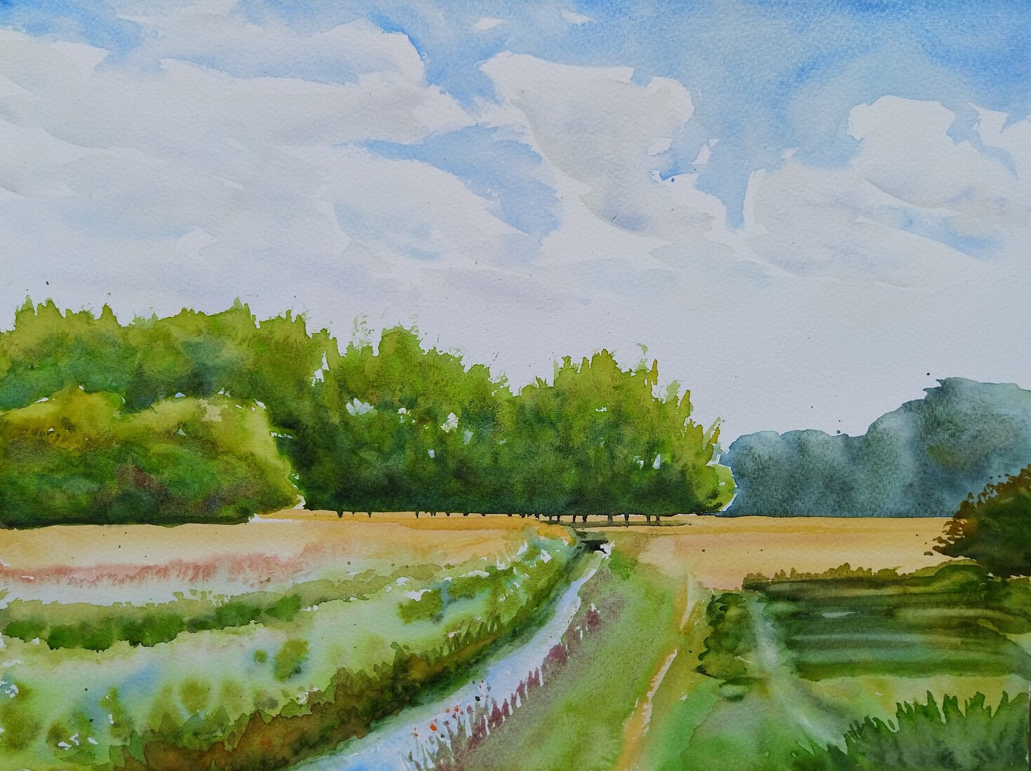 View of countryside on north-east side of Orvelte, Drenthe