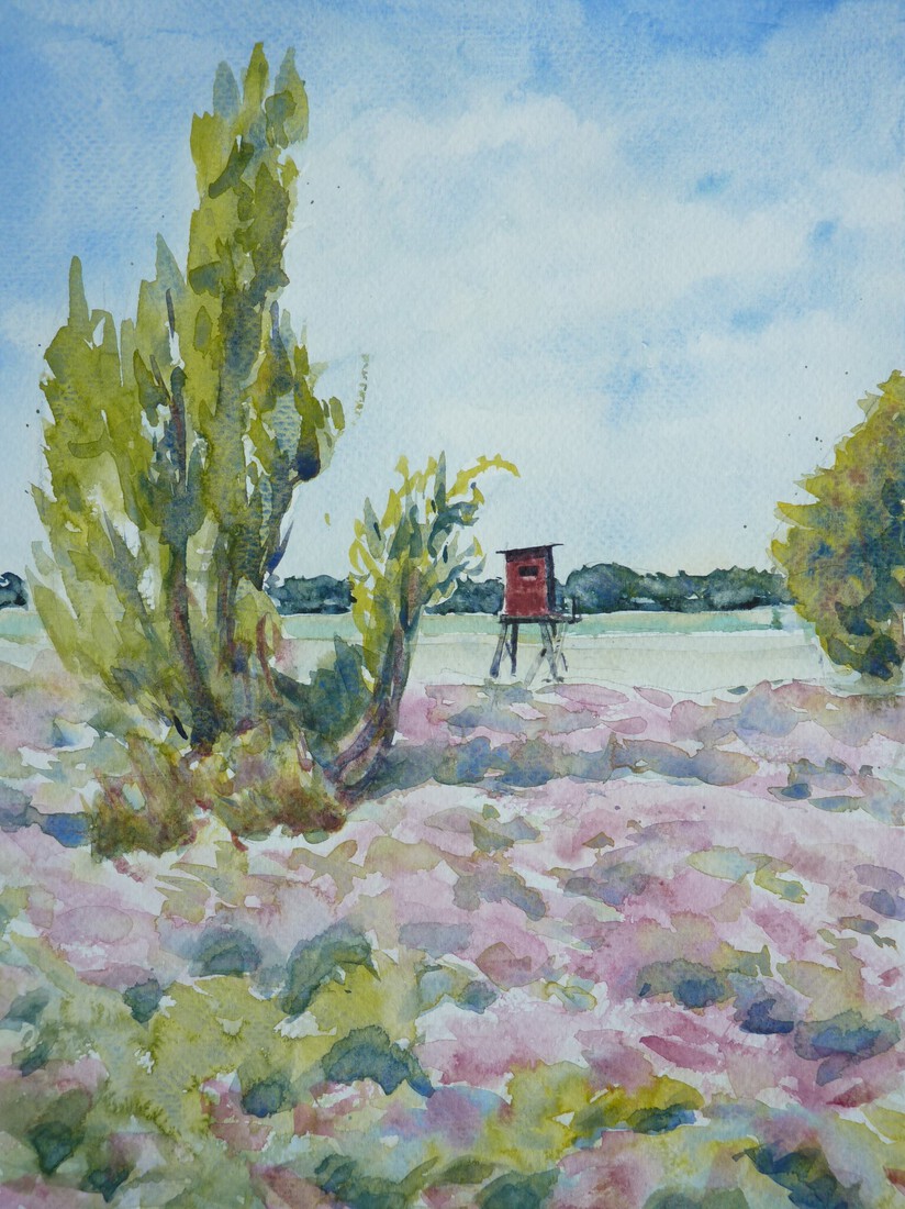 Heidelandschap met uitkijktoren bij Getelo, Duitsland