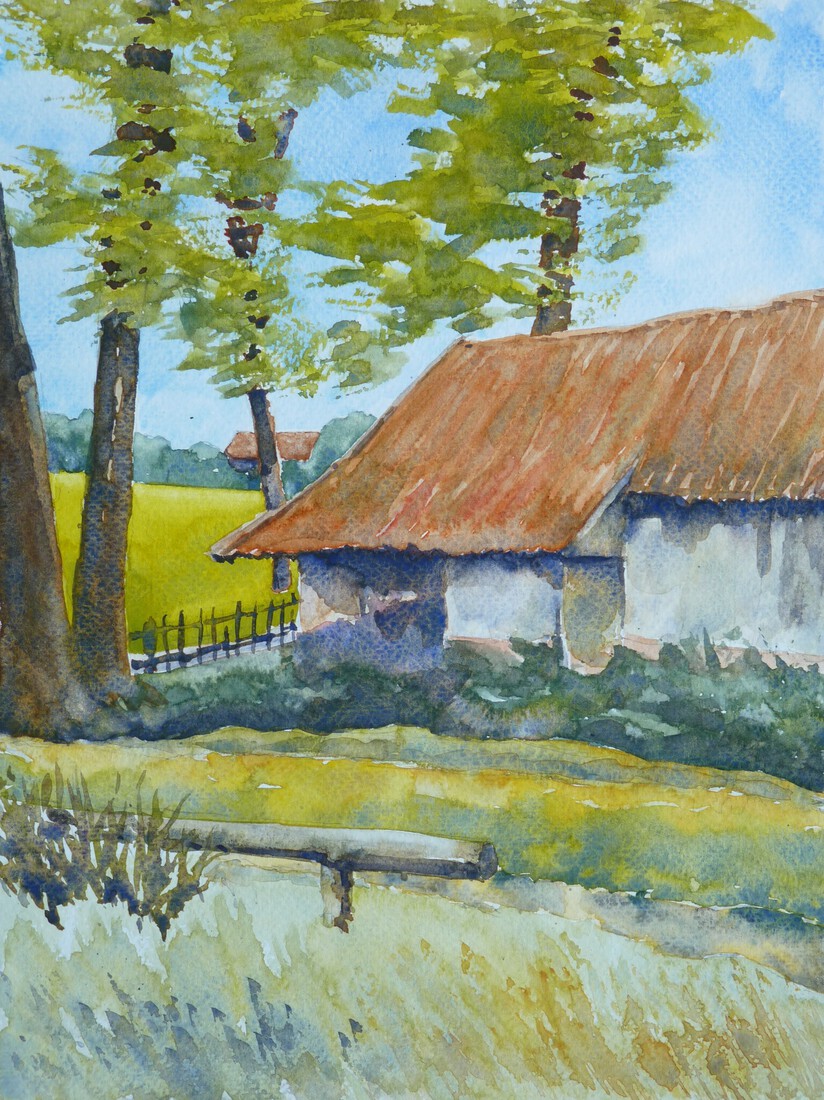 Watermolen Frans, Mander, Overijssel