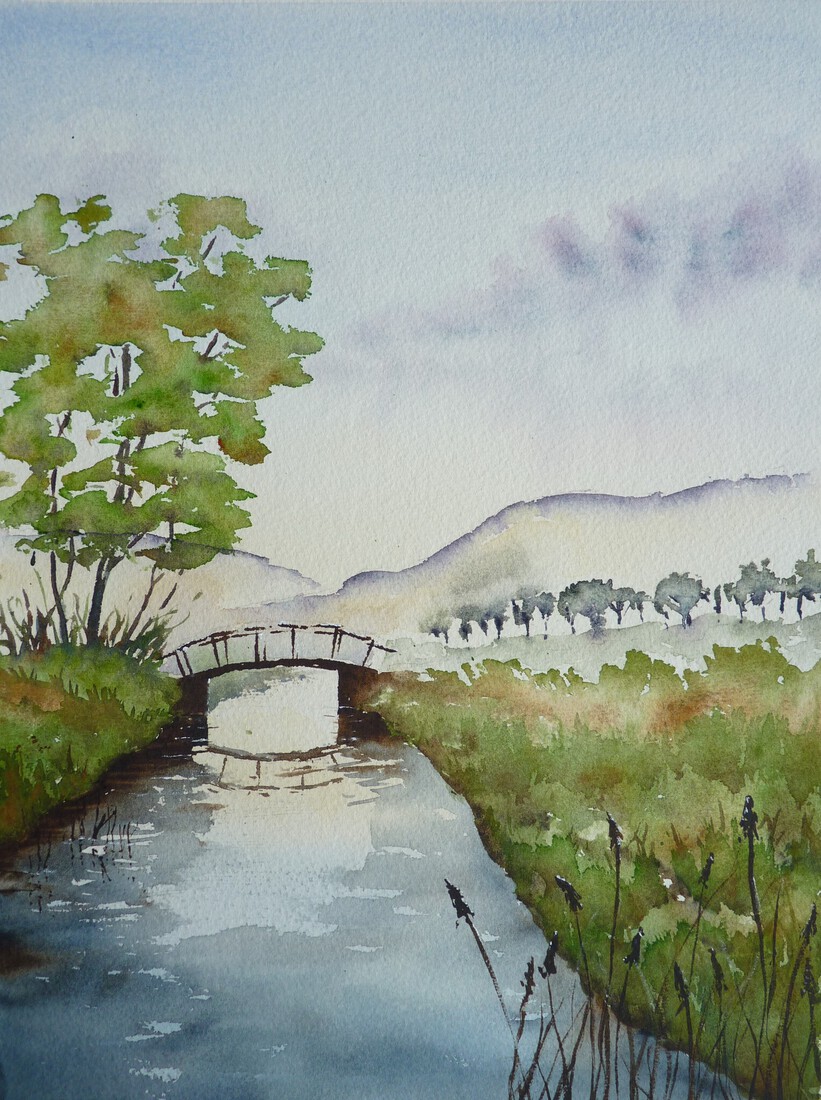 Reflections in a ditch