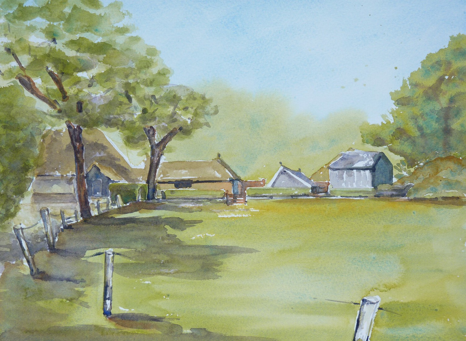 Veld bij Flintenweg, Orvelte, Drenthe