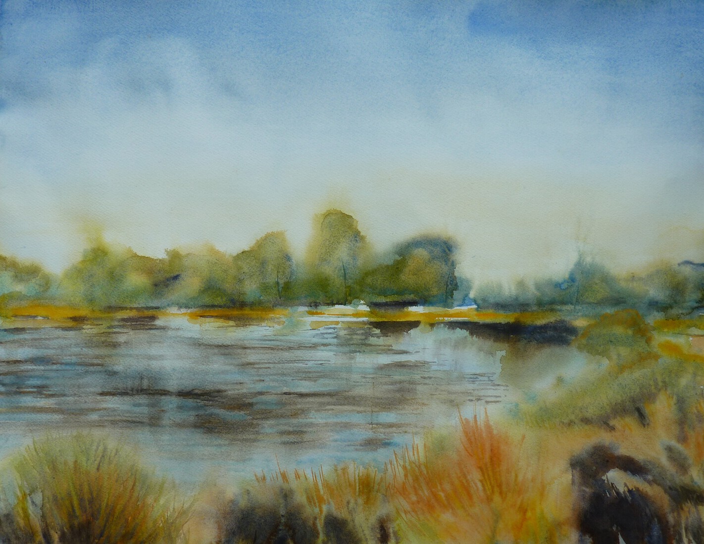 Pond near Orvelte, Drenthe