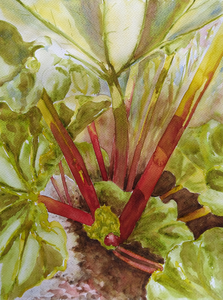 Miscellaneous watercolours