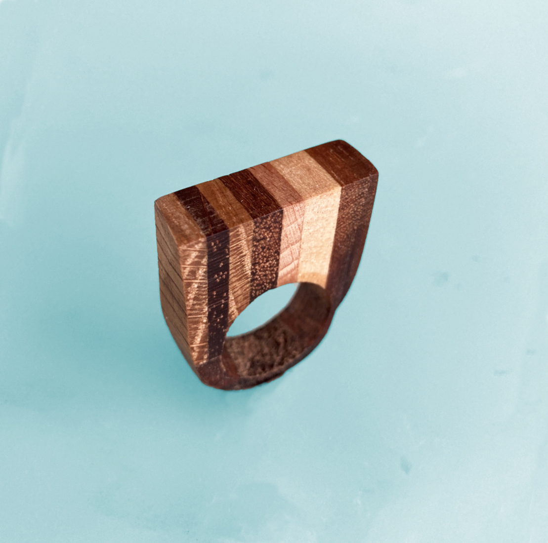 Duurzame ring van zes soorten hout