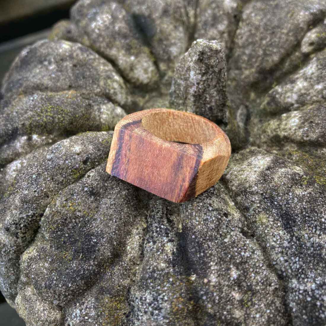 Aparte ring van hout van de laurier
