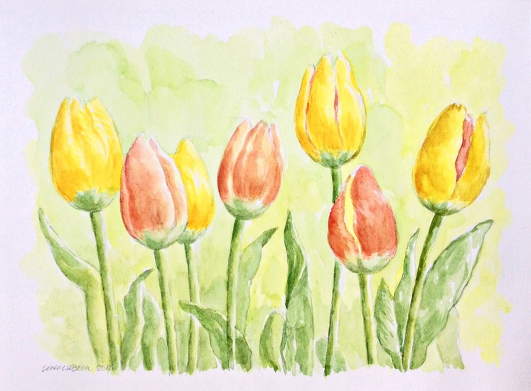 Tulpen