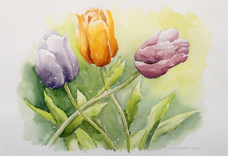 Tulpen