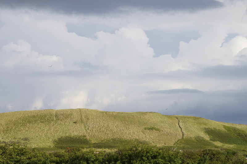 _DSC8392 Callantsoog
