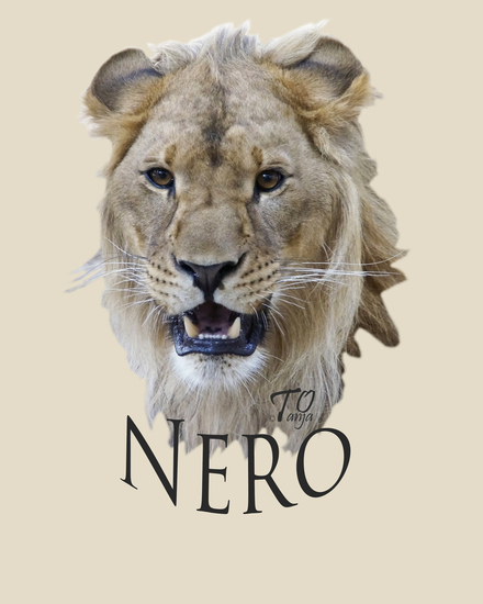Nero _DSC8678
