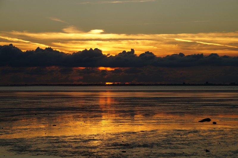 DSC08045 Hippolytushoef