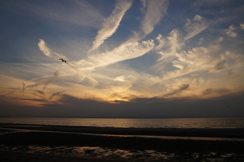 DSC01182 Hoek van Holland