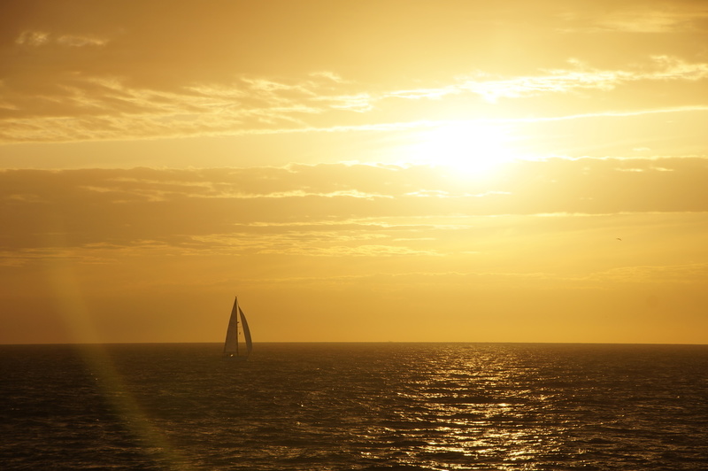 DSC05458 Scheveningen - Den Haag