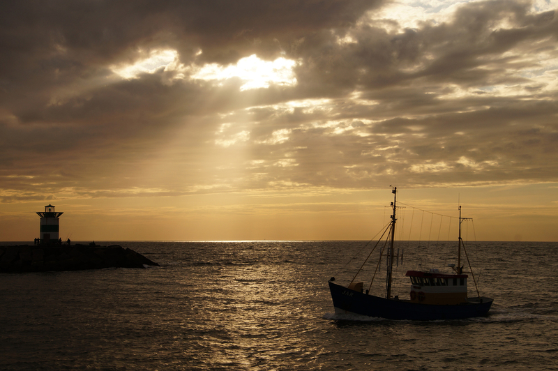 DSC05077 Scheveningen - Den Haag
