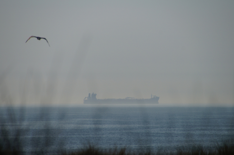 DSC08100 Wassenaarseslag