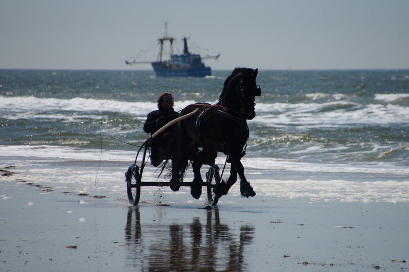 DSC08668 Wassenaarseslag