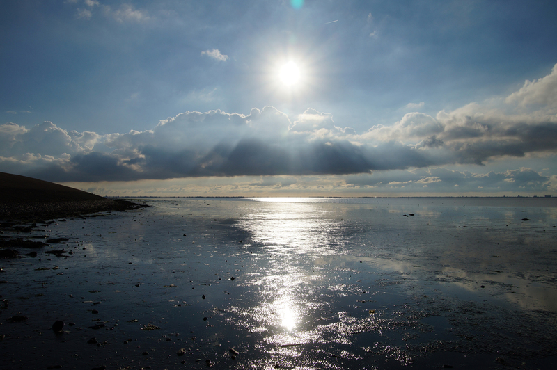 DSC07772 Hippolytushoef