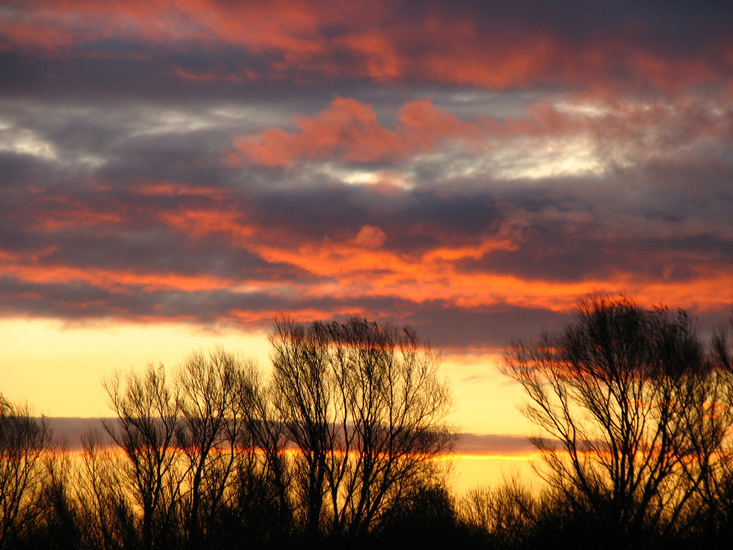 IMG_0021 Noord Beveland