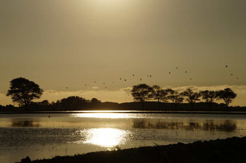 _DSC8194 Grondbevruchting