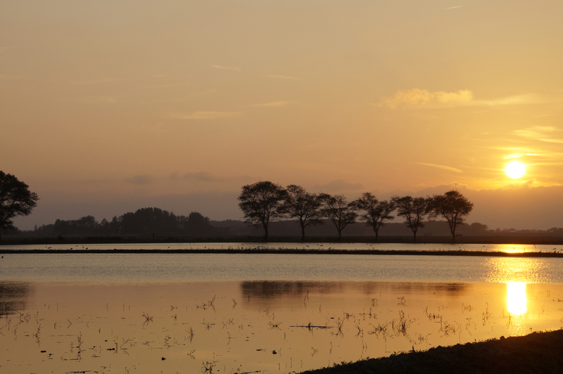_DSC9676 Zonsondergang