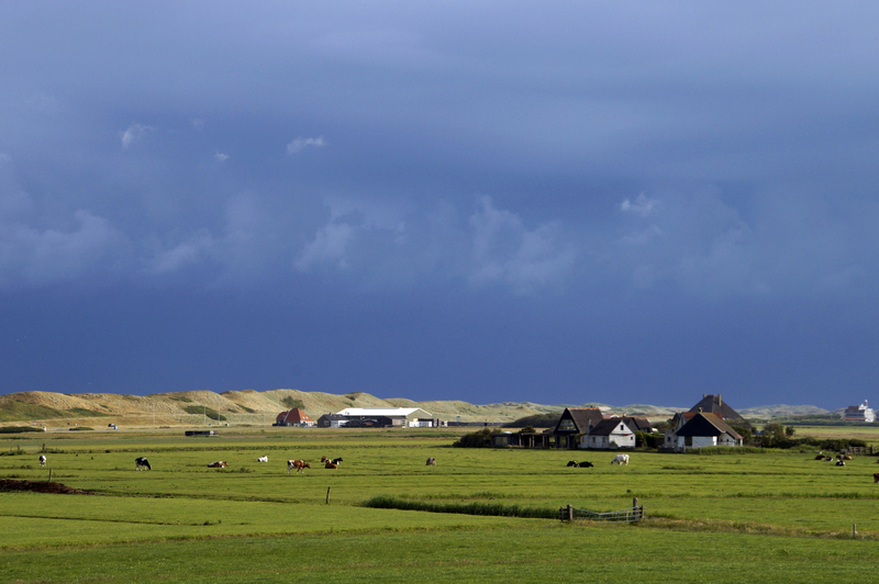 _DSC8398 Callantsoog