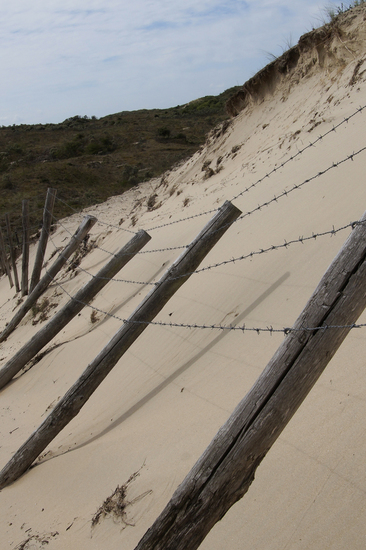 _DSC1485 Wassenaarseslag