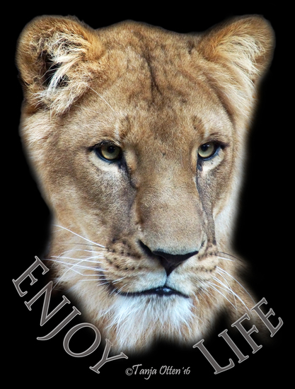 Masrya DSC09564 Enjoy