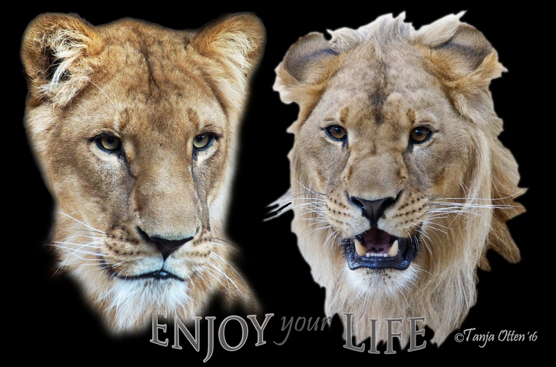 Masrya en Nero enjoy life