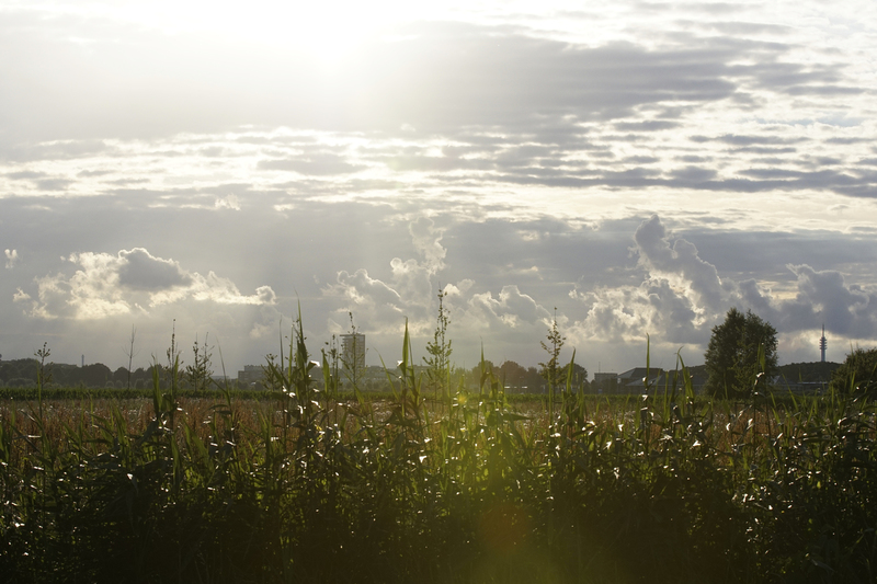 _DSC3815 Dorpsaanzicht